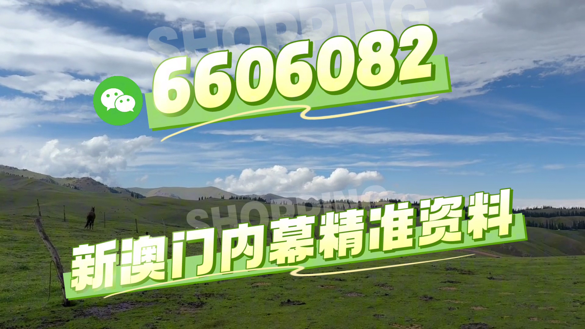 澳門(mén)今晚必開(kāi)一肖一特，探索生肖與運(yùn)勢(shì)的神秘面紗，澳門(mén)今晚生肖運(yùn)勢(shì)揭秘，探索生肖與運(yùn)勢(shì)的神秘聯(lián)系