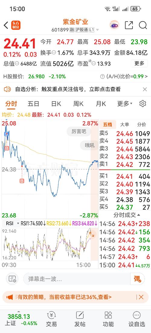 紫金礦業(yè)股票股價分析與展望，紫金礦業(yè)股票股價分析與未來展望