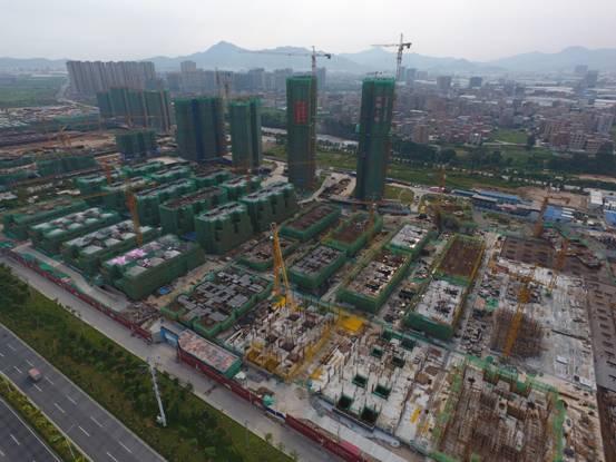 香港最準一肖中特，揭秘13769cm王中王的精準資料，揭秘香港最準一肖中特，精準資料揭秘13769cm王中王預測之道