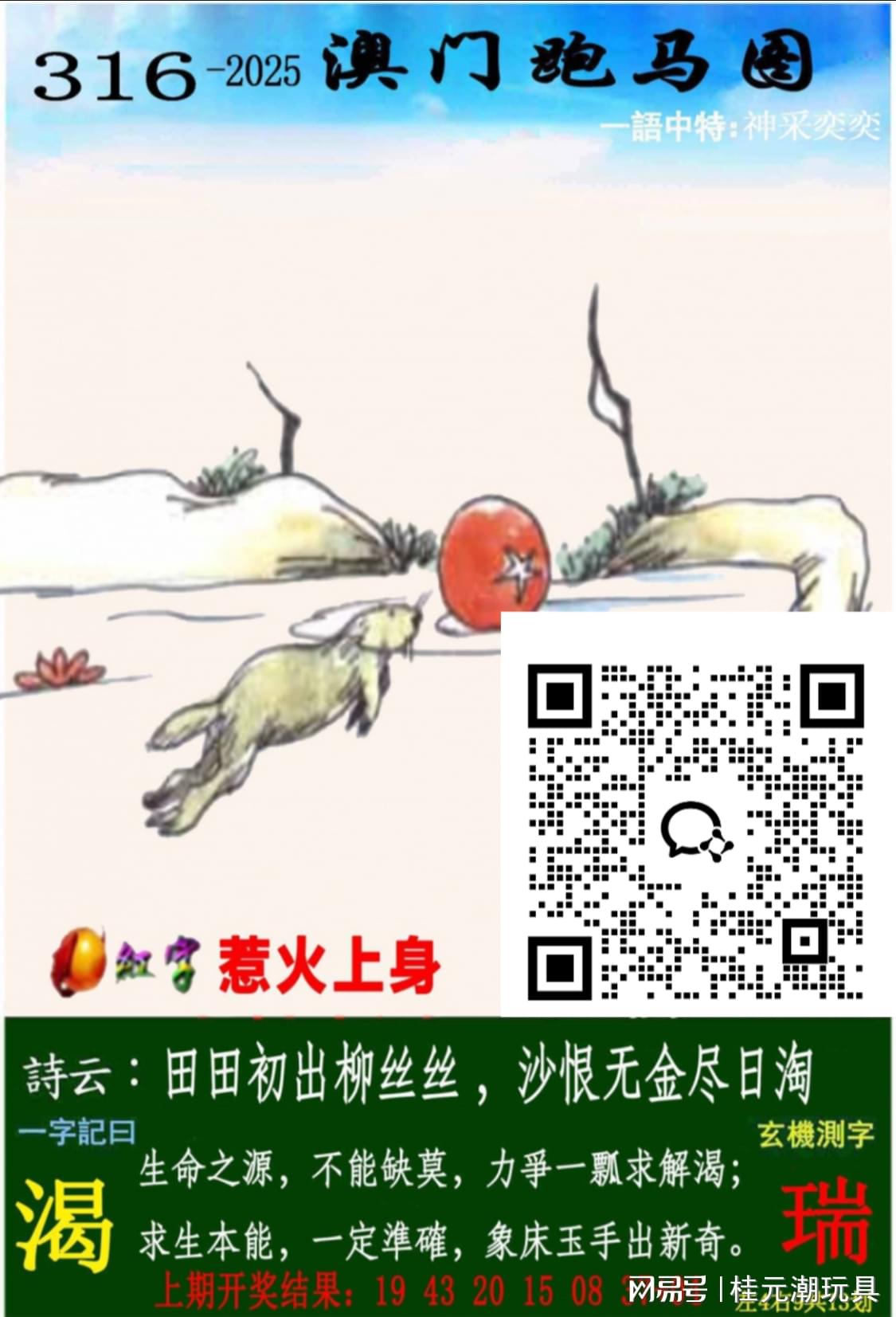 2025新澳精準(zhǔn)資料大全——全面解析與深度探索，2025新澳精準(zhǔn)資料大全，全面解析與深度探索指南