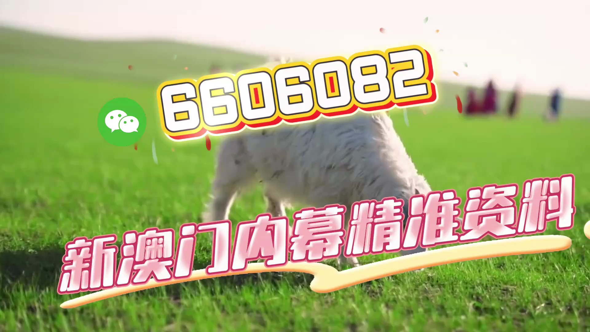 澳門一肖一碼期期準資料，揭秘與探索，澳門一肖一碼期期準資料揭秘，精準探索的背后秘密